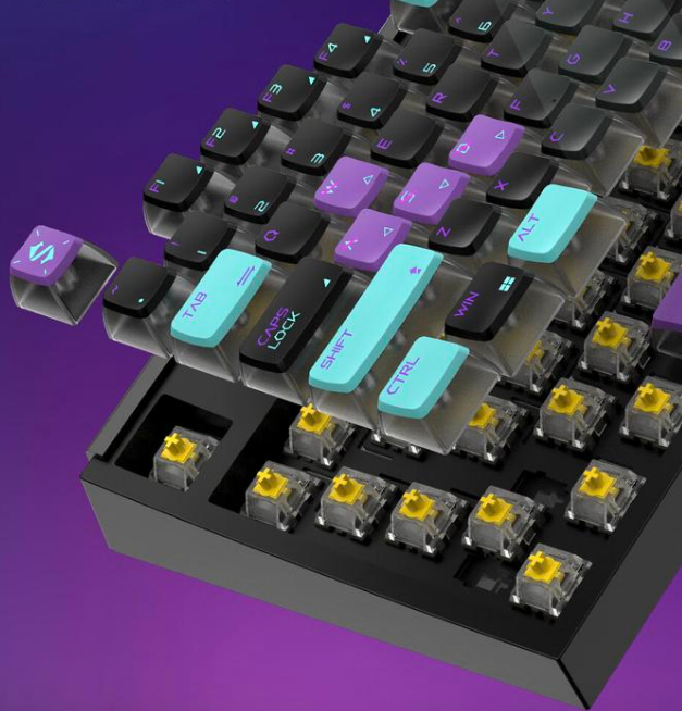 automotive micro switch